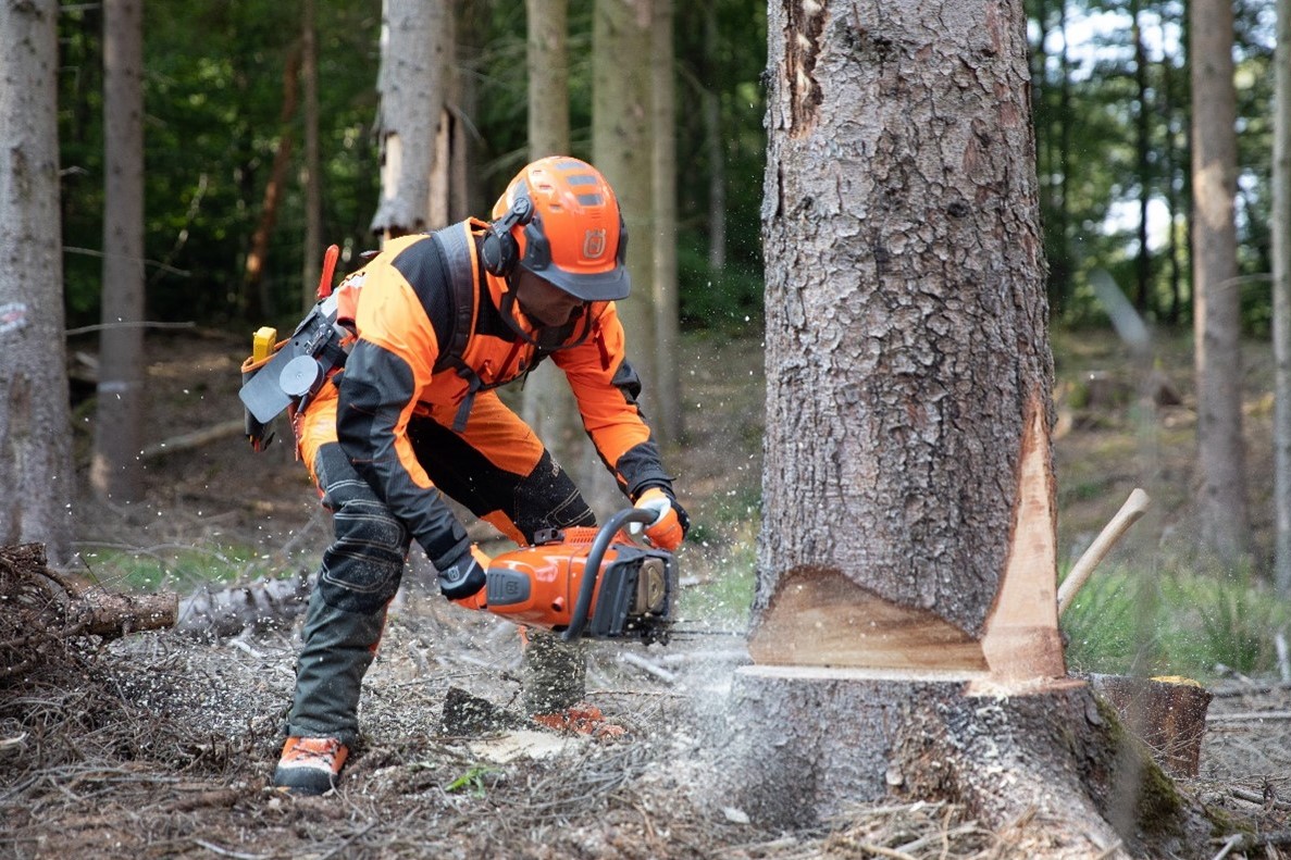 Für einen gesunden Wald: Husqvarna Forstwerkzeug und Kettensägen im Einsatz  der Bestandspflege –